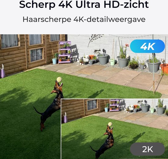 Twee afbeeldingen tonen een hond die springt voor een bal in een tuin. Een 4K-beeld en een 2K-beeld.