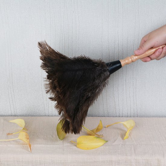 Bruine struisvogelveren met een houten steel, vasthouden door een hand.
