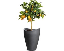 Wave Globe Plantenbak Kunststof Zwart-Graniet 298 cm Diameter 40 cm Hoog 6 l - Hoge Kwaliteit
