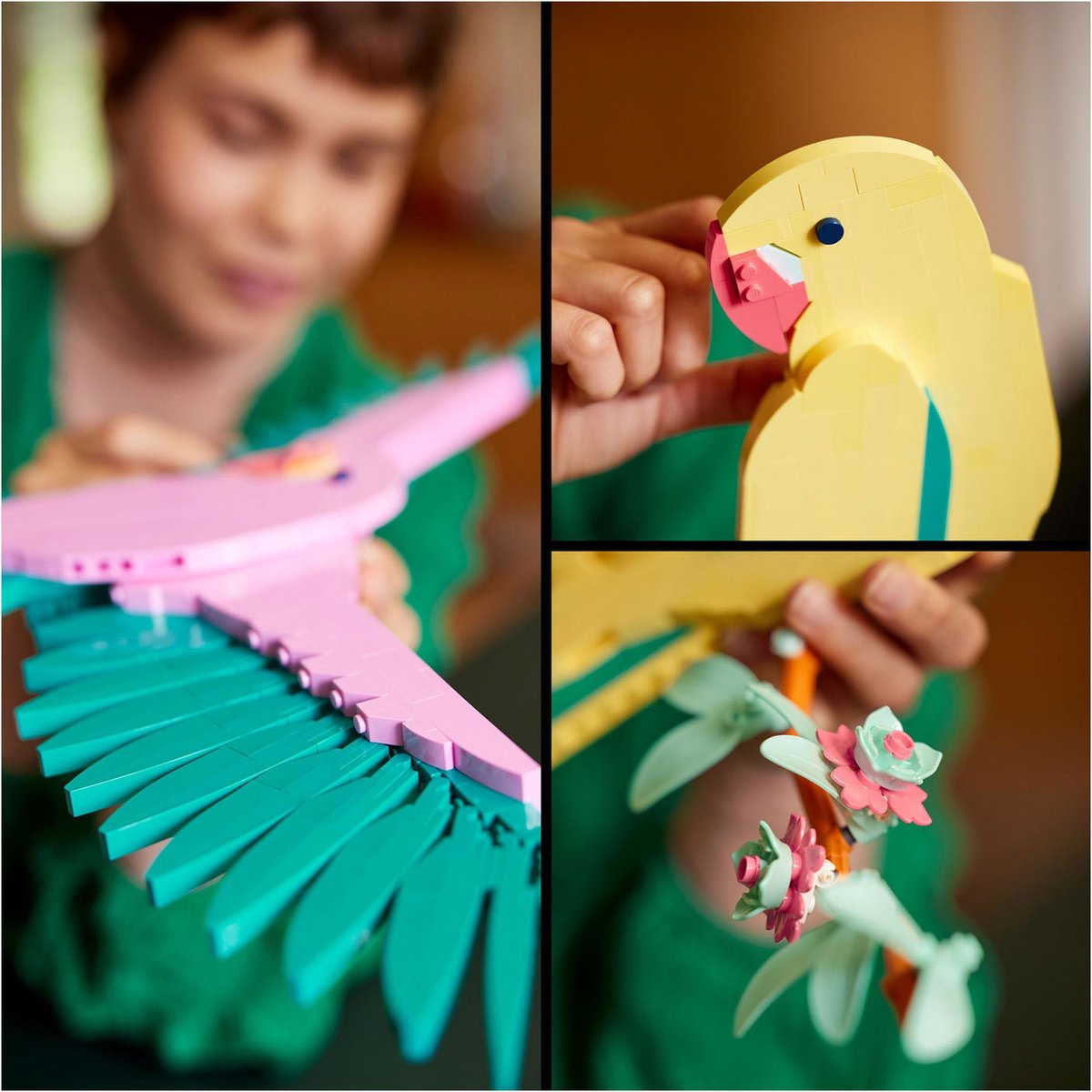 LEGO Art De Faunacollectie Kleurrijke papegaaien - 31211 — afbeelding 4