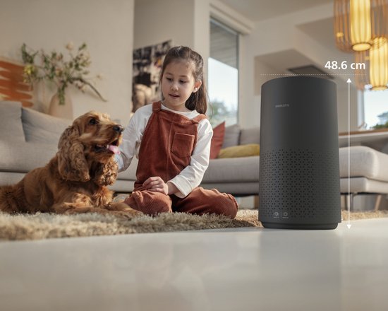 FY1700 Ersatzfilter für Philips Luftreiniger Series 1000 1000i | FY1700