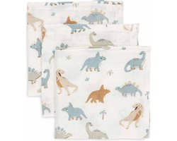Jollein Hydrofiel Monddoekje 31x31cm Roarsome (3pack)