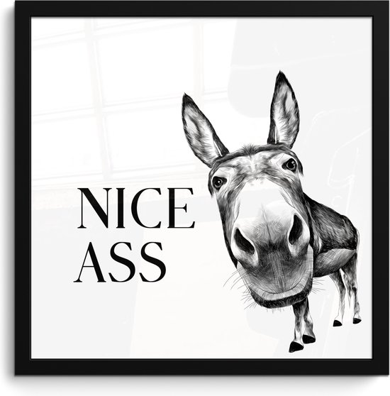 Poster in lijst - Fotolijst 40x40 cm - Posters - Quote - Ezel - Dieren - Nice ass - Spreuken - Posterlijst zwart - Wanddecoratie badkamer - Muurdecoratie WC - Decoratieve accessoires - Toilet muur decoratie