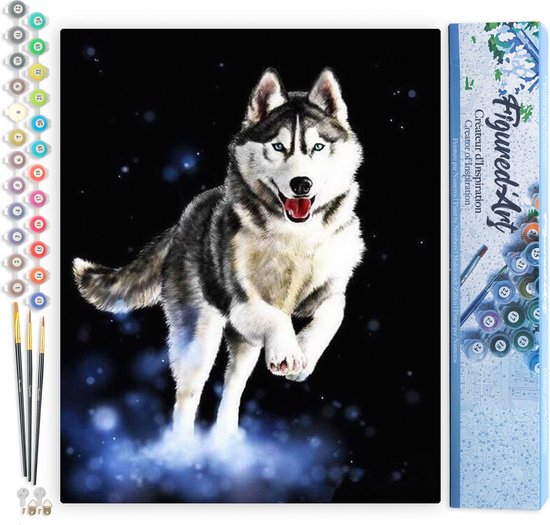 Figured'Art Schilderen op Nummer Volwassenen met lijst Marokkaanse kuststad- Handwerk acrylverf Kit DIY Compleet - 40x50cm Canvas al ingelijst