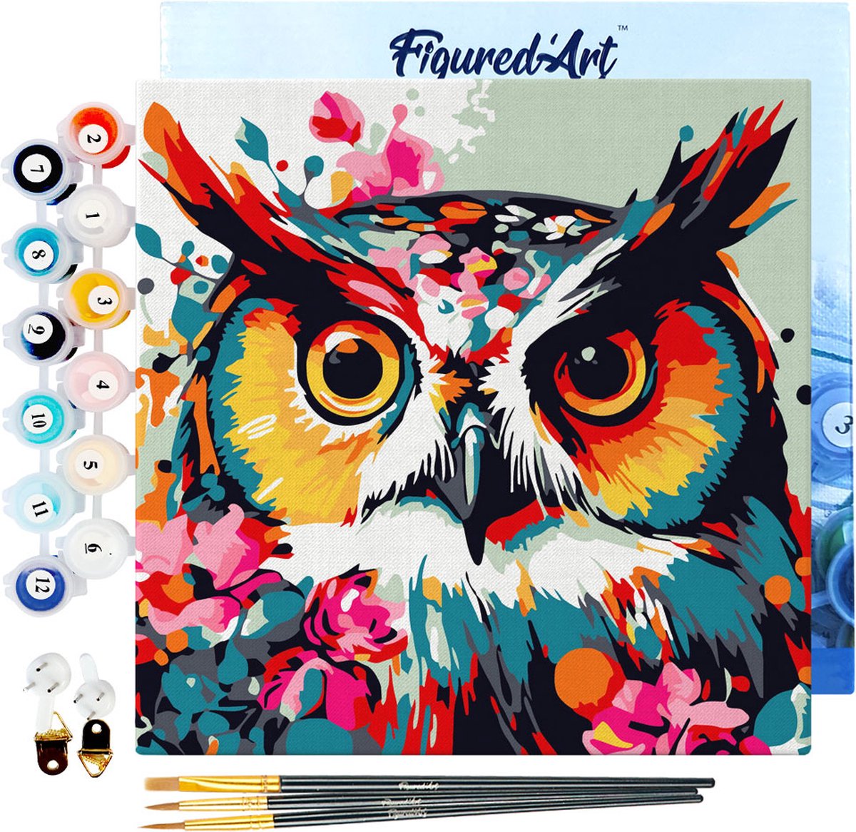 Figured'Art Mini Schilderen op Nummer Volwassenen 20x20cm met lijst Modieuze uil met bloemen - Klein Formaat Creatieve Hobby Kit DIY Art Nummer Compleet