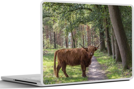 Autocollant pour ordinateur portable - 10,1 pouces - Highlander écossais - Crapaud - Arbre - 25x18cm - Autocollants pour ordinateur portable - Peau pour ordinateur portable - Couverture