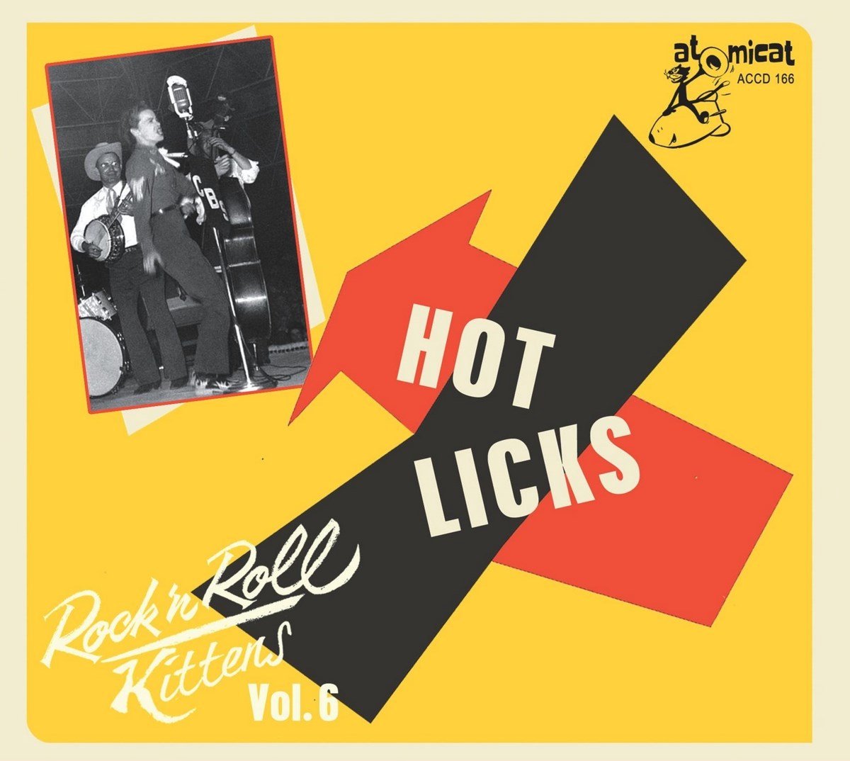 Various Artists - Rock'n'roll Kittens Vol.6 (CD)
