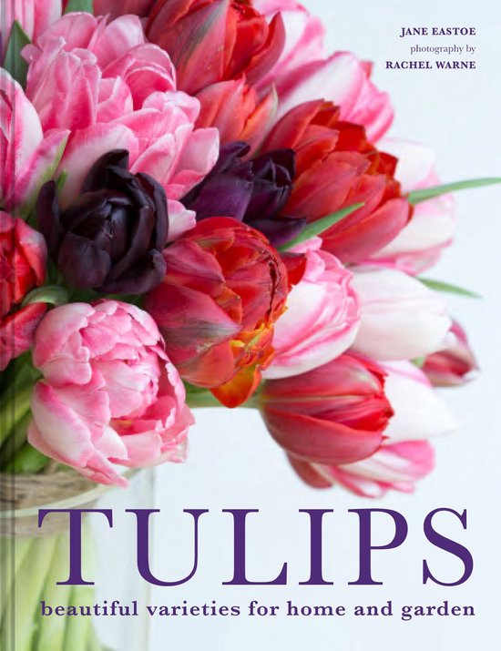 Tulips - cover