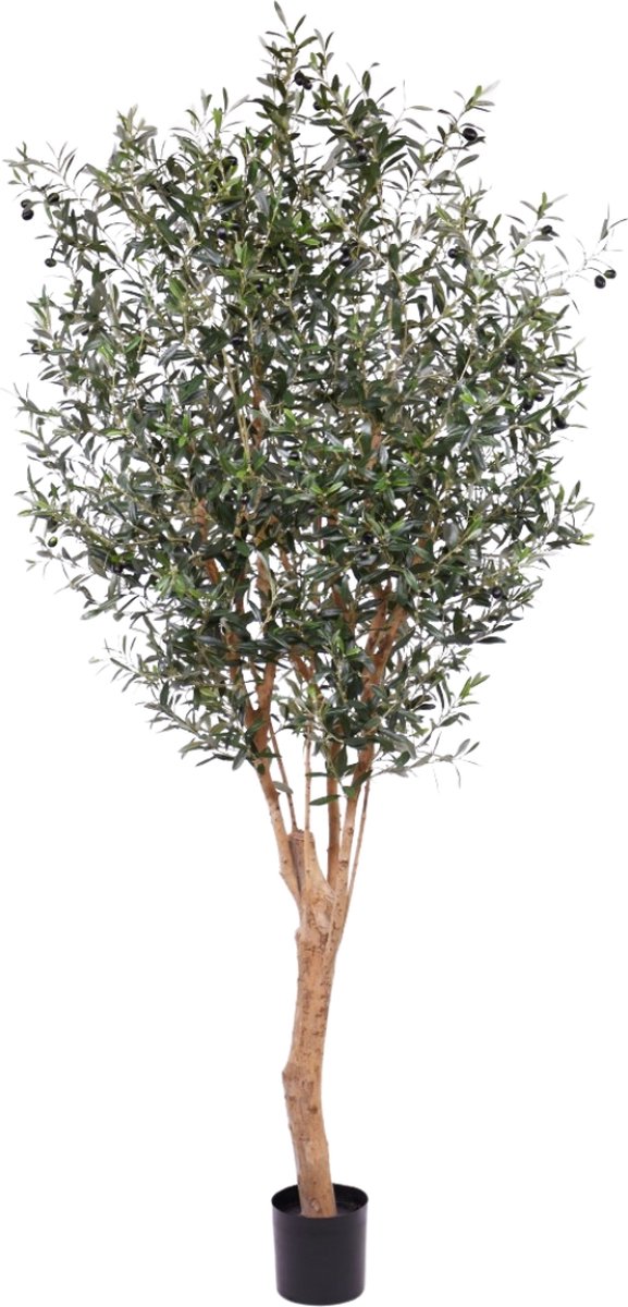 maxifleur Kunstplanten Olijf Deluxe kunstboom 250cm Groen
