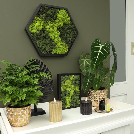 Zeshoekig moskunstwerk met verschillende tinten groen mos in een zwart frame, naast planten en kaarsen.