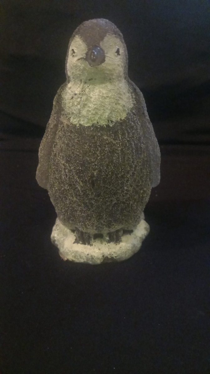 starwolf, lampje pingiun, geschenk, decoratie