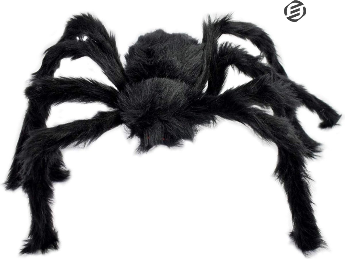 Equivera Halloween Decoratie - Halloween Versiering - Horror Versiering - voor Binnen en Buiten - Spin, Heks, Skelet, Pompoen en Spoken - 2024
