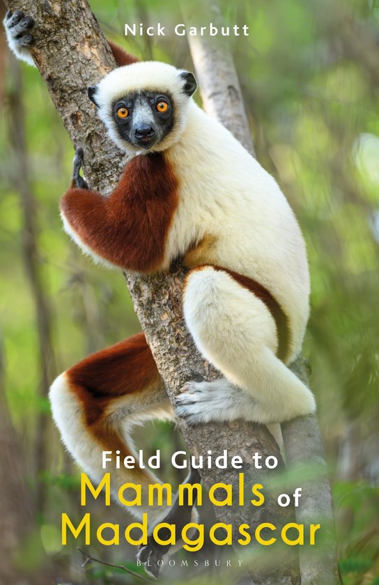 Bloomsbury Naturalist- Field Guide to Mammals of Madagascar - cover