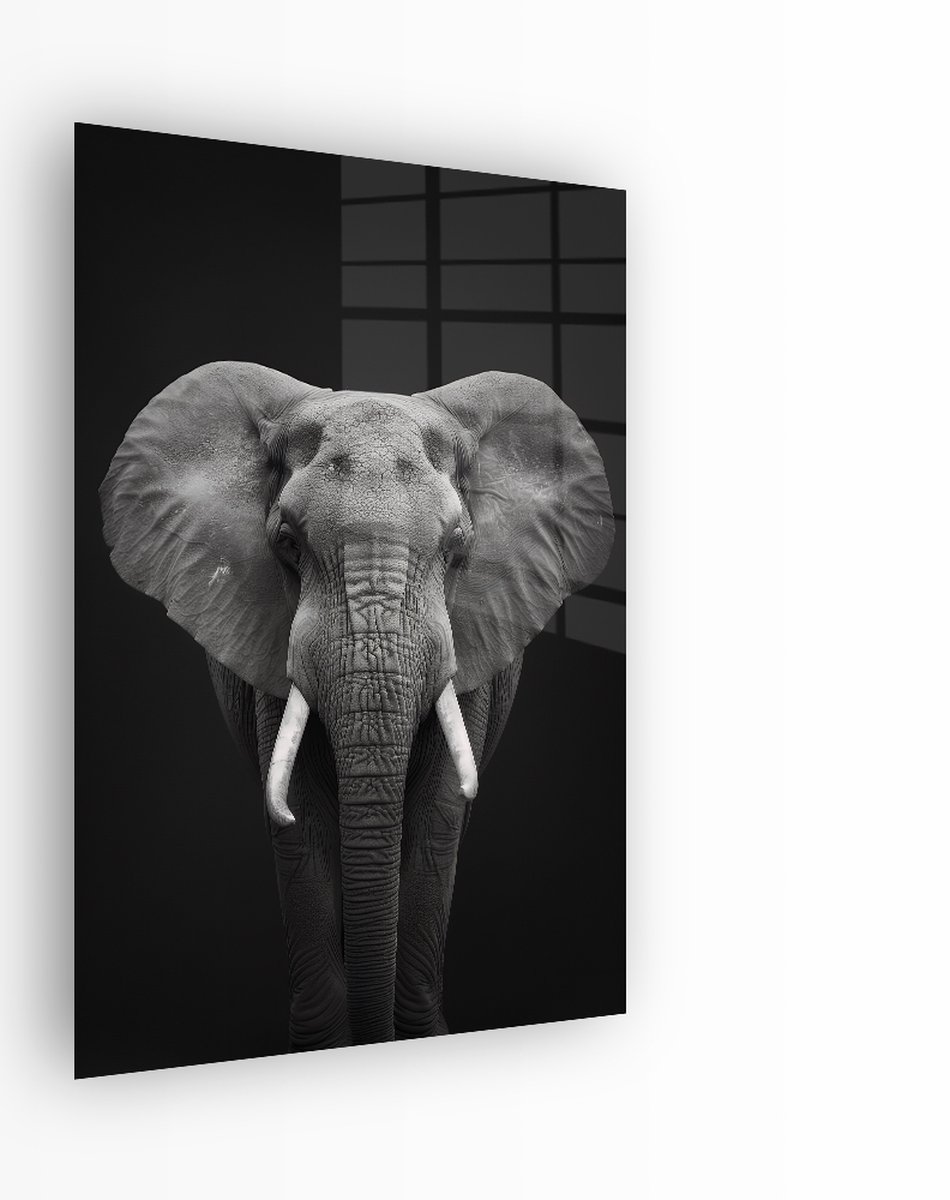 Indoorart Glasschilderij Olifant Zwart Wit 60x90 CM - Afbeelding op plexiglas - Inclusief montagemateriaal zwart, wit