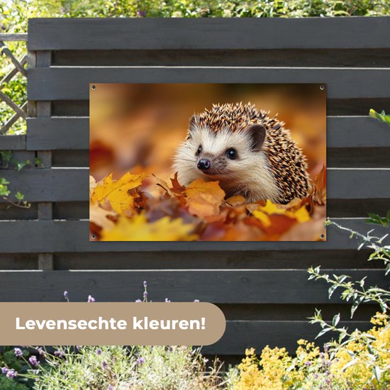 Egeltje in herfstbladeren hangend aan een donkere schutting met tekst 'Levensechte kleuren!'.