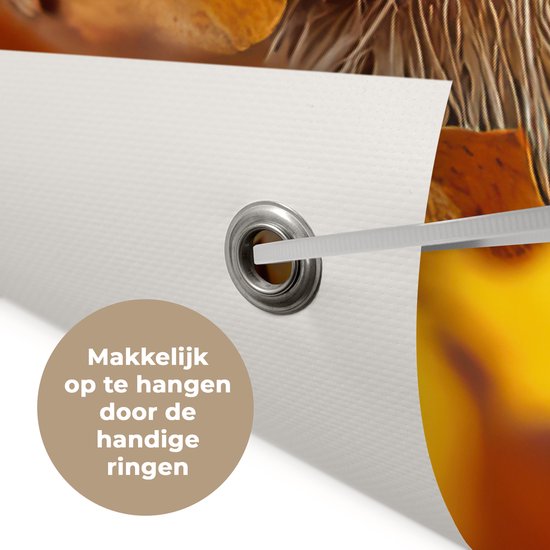 Close-up van een egel in herfstbladeren met tekst die aangeeft dat het makkelijk op te hangen is door de ringen.