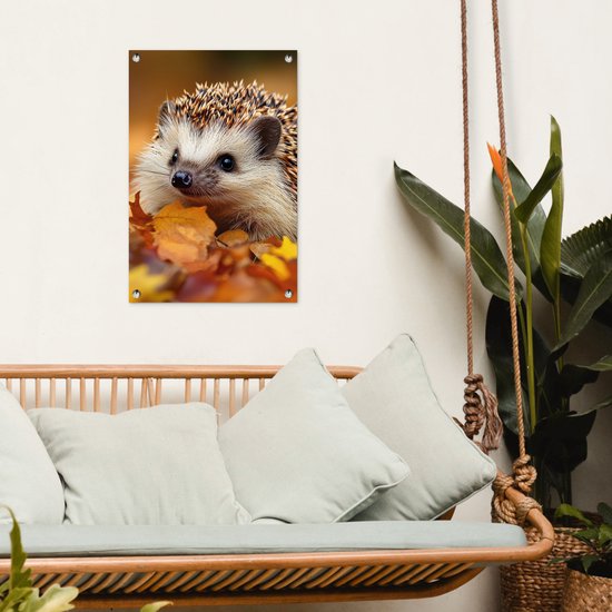 Een egel in herfstbladeren hangt aan een witte muur boven een bank.