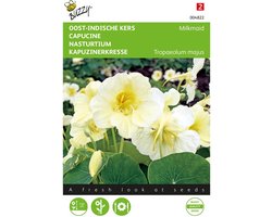 Buzzy Seeds - Oost-Indische Kers Milkmaid (Tropaeolum)