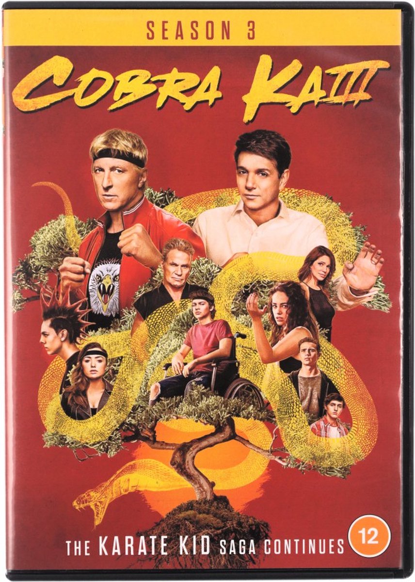 Cobra Kai - Season 3 (DVD)