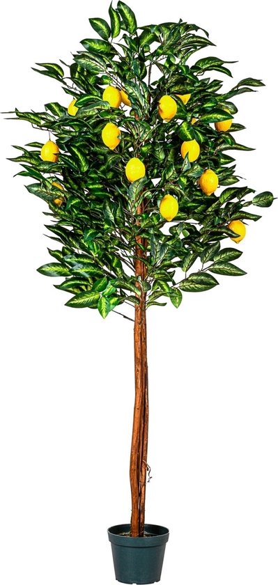 Kunstplant - Citroenplant - 184cm