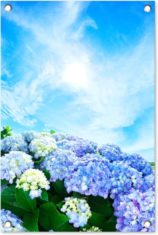 Tuindecoratie Japanse hortensia bloemen - 40x60 cm - Tuinposter - Tuindoek - Buitenposter