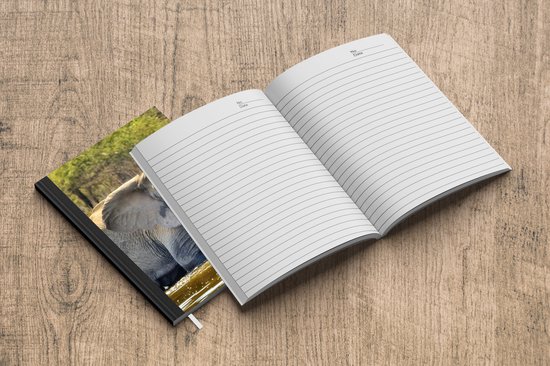 Carnet - Carnet d'écriture - Eléphant au bain - Carnet - Format A5 - Bloc-notes