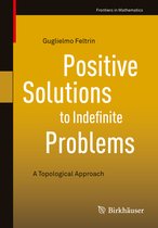 Frontiers in Mathematics- Positive Solutions to Indefinite Problems