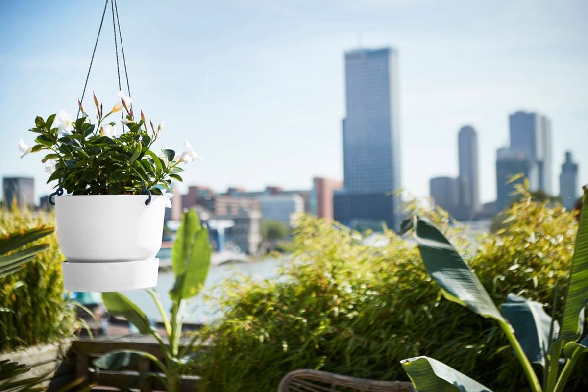 Elho Greenville Hanging Bowl 24 - Outdoor Hanging Pot