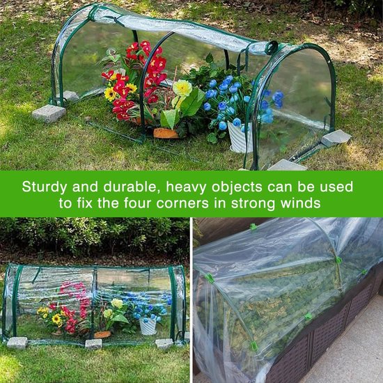 Relaxdays tomatenkas, tuin, balkon, foliekas voor tomaten, HBD 150x100x50 cm, staal & PVC folie, doorzichtig