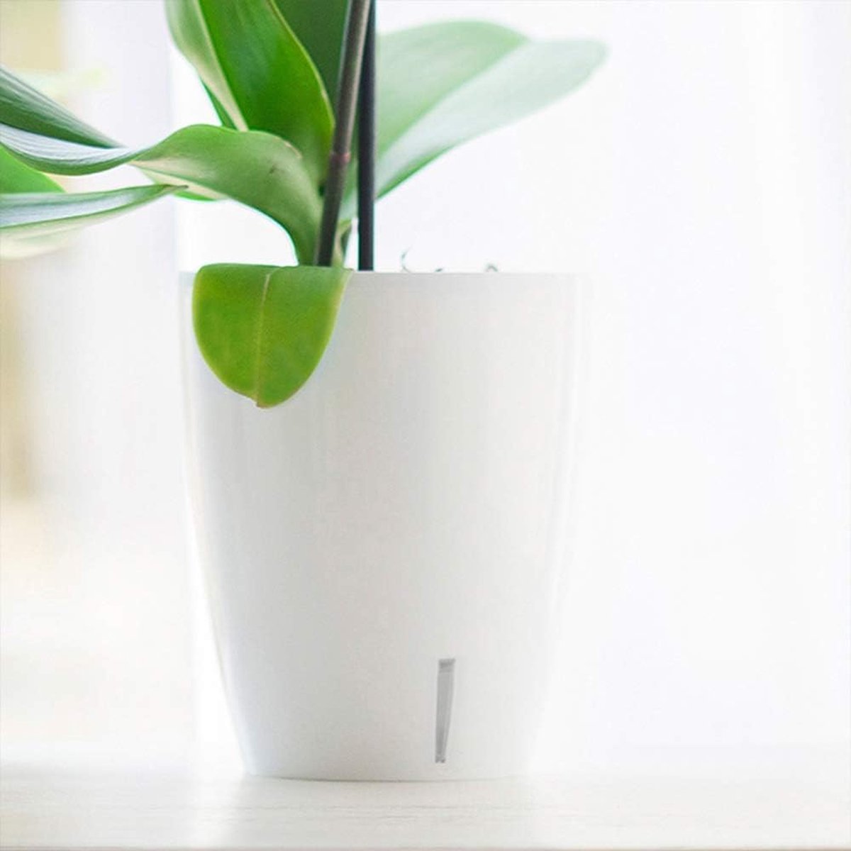 Set van 6 zelfbewaterende potten, 12,5 cm bloempotten met