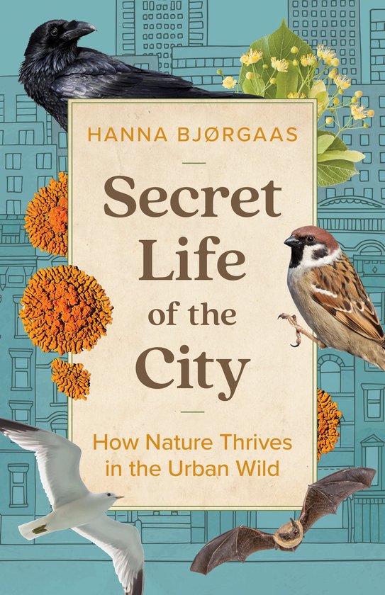 Secret Life of the City - cover