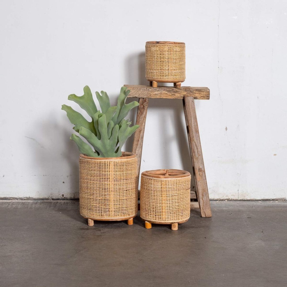 Kandelaar Dewi Webbing Naturel Ø14cm