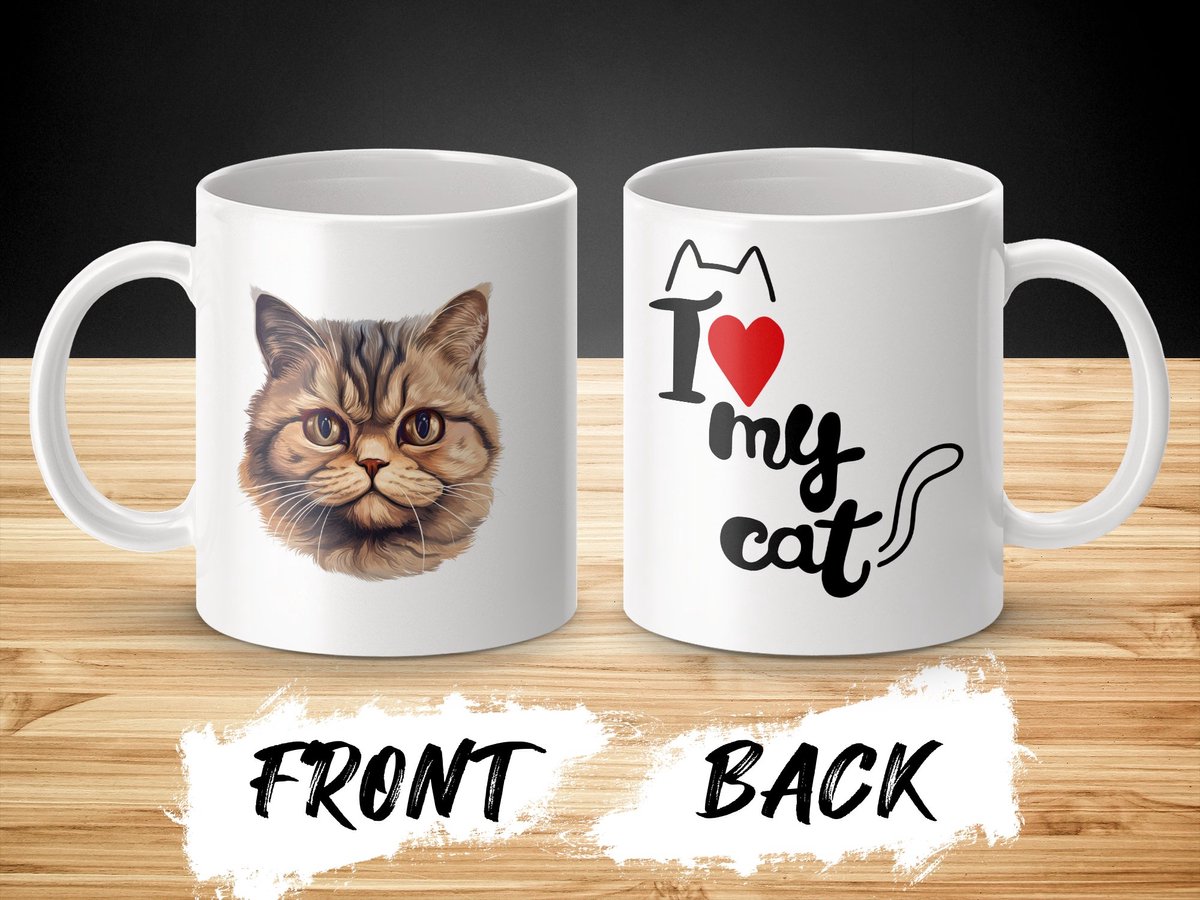 Mok Exotic Shorthair cat - kat - I love my cat - cat lovers - katten