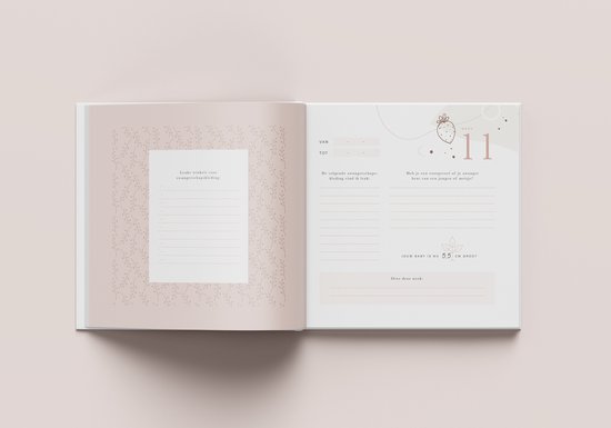 Maan Amsterdam Zwangerschapsdagboek - wekelijks invuldagboek tijdens zwangerschap - negenmaanden dagboek - Eclipse - Unisex