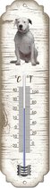 Thermomètre: Welsh Corgi Pembroke / race de chien / température intérieure et extérieure / -25 à + 45C