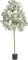 Clixify Olijfboom Kunst 150cm - Anti-omvallen bescherming - Kunstmatige olijfboom voor binnen - Makkelijk te monteren - Olijfboom op stam - Olijfboom nep - Kunstboom plant