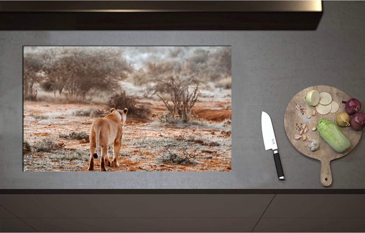 Inductieplaat Beschermer - Achteraanzicht van Sluipende Leeuw in Afrikaans Landschap - 85x52 cm - 2 mm Dik - Inductie Beschermer - Bescherming Inductiekookplaat - Kookplaat Beschermer van Wit Vinyl