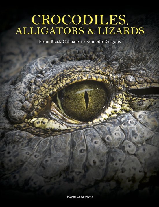 Animals in Photographs- Crocodiles, Alligators & Lizards