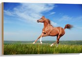 Hout - Rood Arabisch Paard met Blauwe Lucht - 90x60 cm - 9 mm dik - Foto op Hout (Met Ophangsysteem)