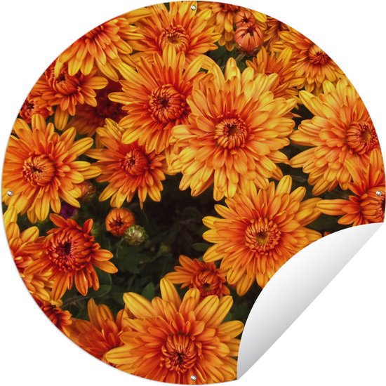 Tuincirkel Bloemen - Oranje - Chrysant - 60x60 cm - Ronde Tuinposter - Buiten