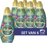 Robijn Klein & Krachtig Collections Color Paradise Secret Vloeibaar Wasmiddel - 6 x 19 wasbeurten - Voordeelverpakking