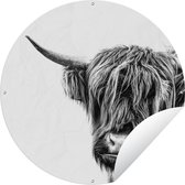 Tuincirkel Schotse hooglander - Hoorn - Zwart - Wit - 150x150 cm - Ronde Tuinposter - Buiten