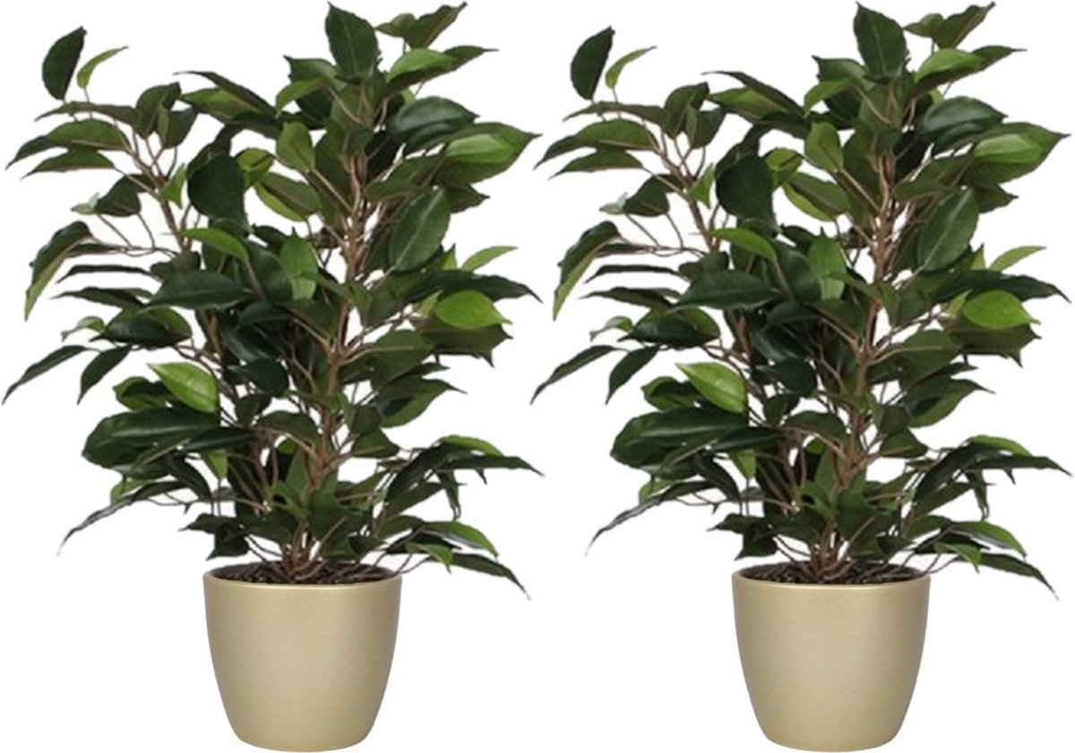 Mica Decorations 2x stuks groene ficus kunstplant 40 cm met plantenpot parelgoud D13.5 en H12.5 cm