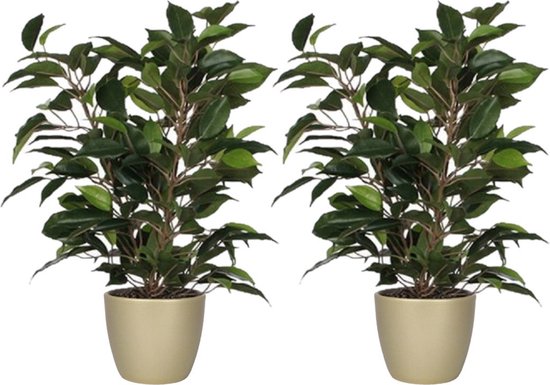 2x stuks groene ficus kunstplant 40 cm met plantenpot parelgoud D13.5 en H12.5 cm