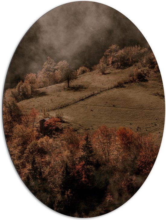Dibond Ovaal - Bomen op Berg met Mist van Wolken - 81x108 cm Foto op Ovaal (Met Ophangsysteem)