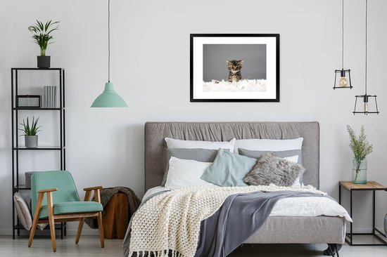 Photo encadrée - Chaton entre les plumes cadre photo noir avec passe-partout blanc 60x80 80x60 cm - Affiche encadrée (Décoration murale salon / chambre)