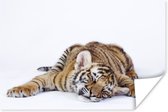 Slapend tijger welp op witte achtergrond poster papier 180x120 cm - Foto print op Poster (wanddecoratie woonkamer / slaapkamer) / Wilde dieren Poster XXL / Groot formaat!