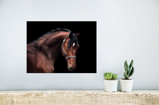 Portrait du côté d'un cheval sur fond noir Poster papier 40x30 cm - petit - Tirage photo sur Poster (décoration murale salon / chambre) / Poster Animaux de la ferme