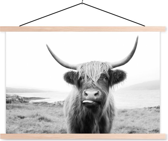 Affiche Encadrée Vache Écossaise 100x70cm - Décoration Murale Moderne Cadre Chêne Clair - Art Animalier Salon