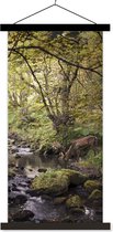 Porte-affiche avec affiche - Affiche scolaire - Cerf - Arbre - Forêt - 40x80 cm - Lattes noires